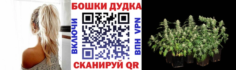 Купить  Шумерля  Бошки Шишки MAZAR 